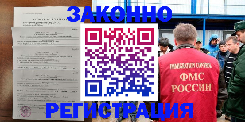 прописка поиск в Мамадыше